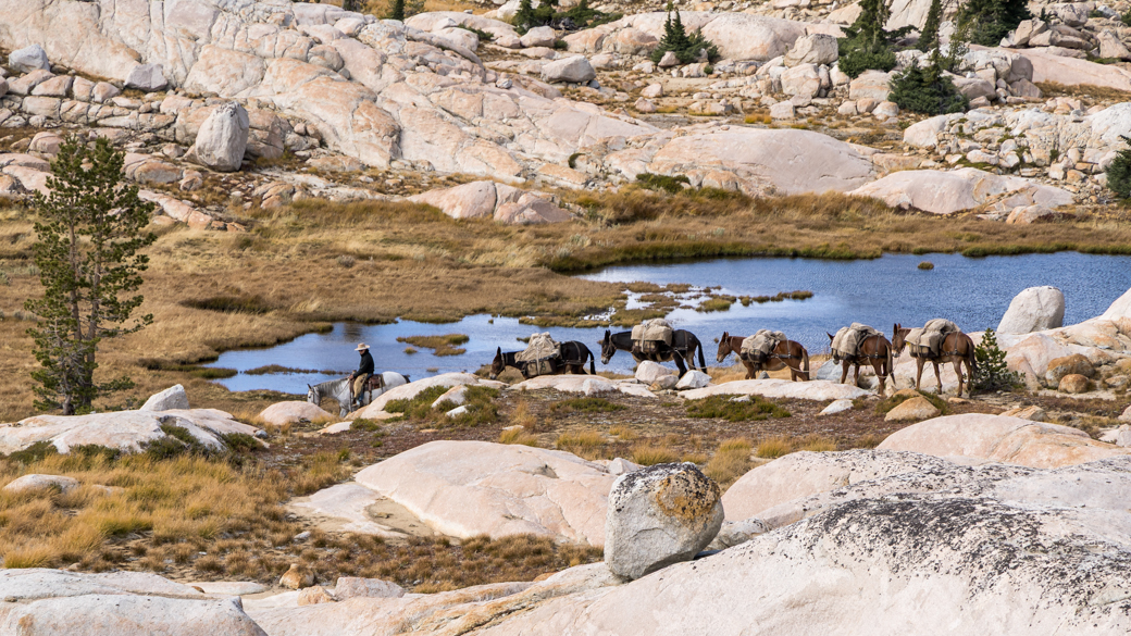 A Kennedy Meadows’ packer leads mules across a rocky landscape.