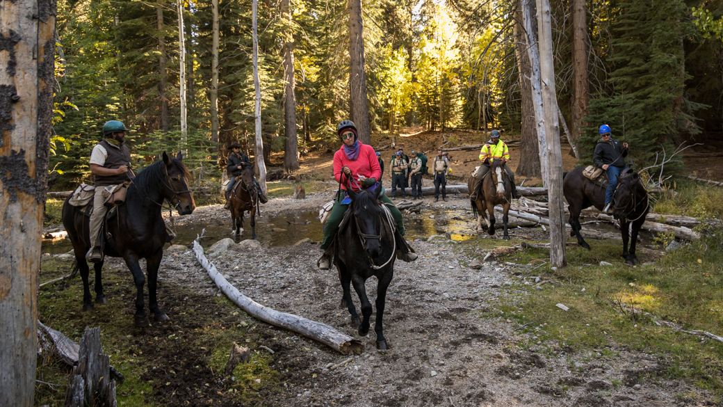 CCC project partners cross a creek on horseback while Corpsmembers follow on foot.