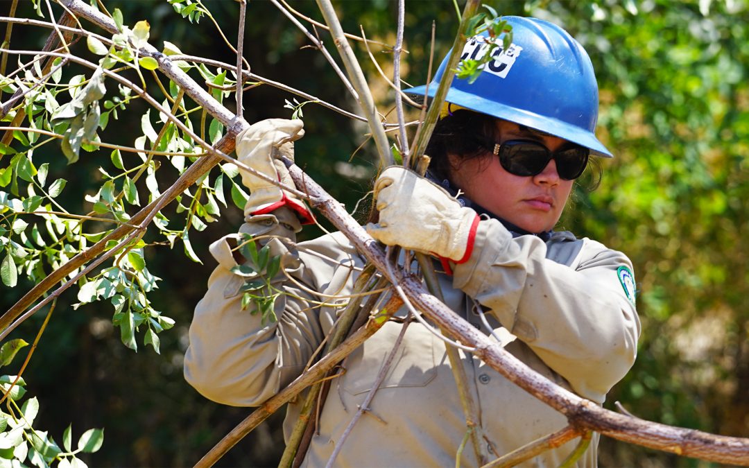 Near Palisades Burn Scar, Corpsmembers Work to Prevent Future Damage