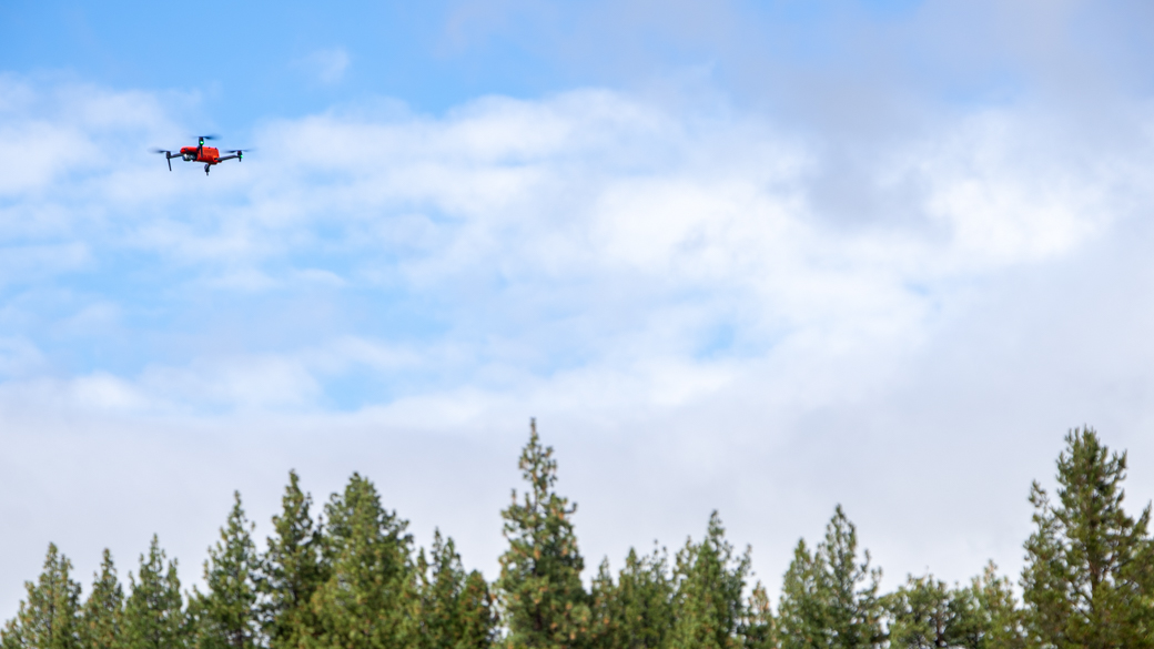 A drone flying over trees.