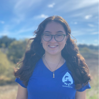 WSP - Jasmine Moffett