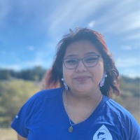 WSP - Sabiha Betanzos