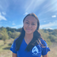 WSP - Taylor Cockrell