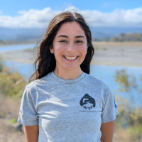 WSP - Veronica Klenk