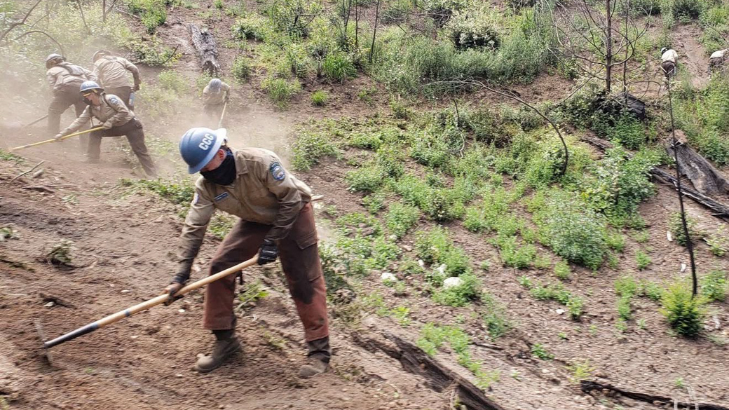 Corpsmembers use McLeods to cut a path into a hillside.