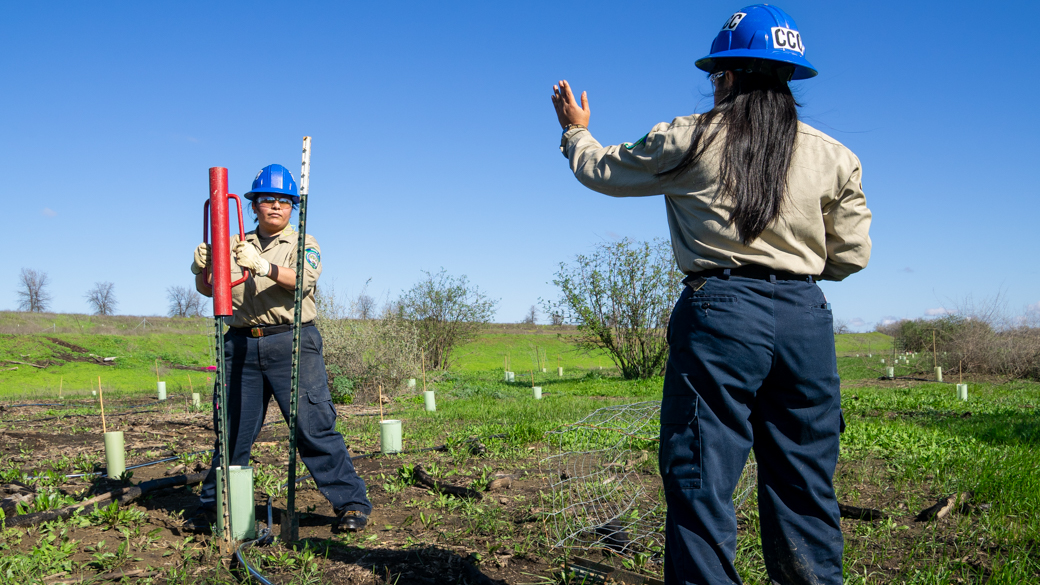 CCC Corpsmembers work together to install protective fencing around native plants in the Haller Muller Restoration Area.