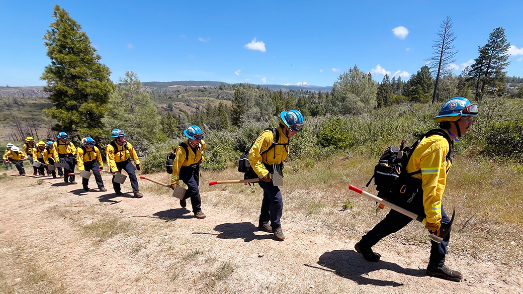 wildland firefighters walking up a trail