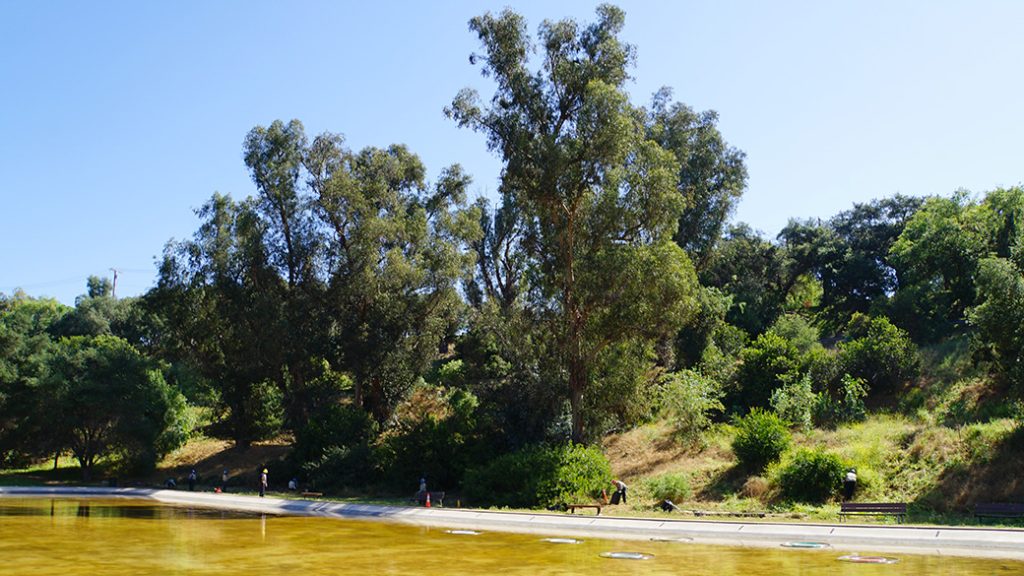 Lower Arroyo Park landscape