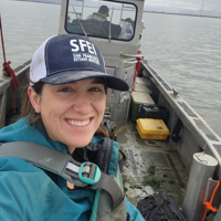 WSP - Katie Noland