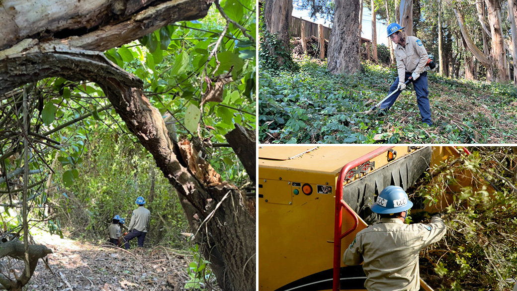 Collage of Monterey Bay Corpsmembers completing fuel reduction activities. 