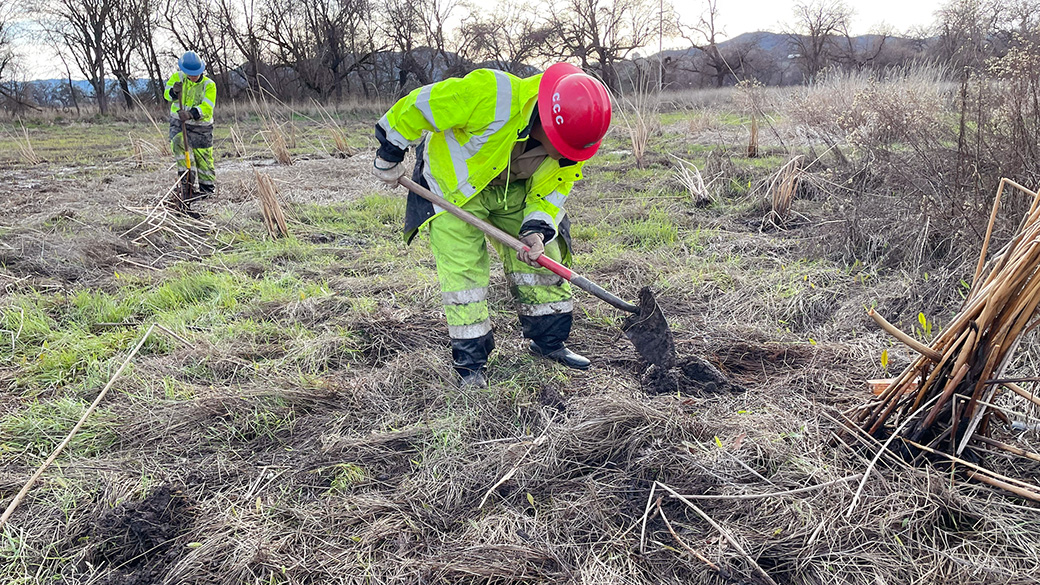 corpsmembers in rain gear clearing overgrown vegetation with ahnds tools in a meadow