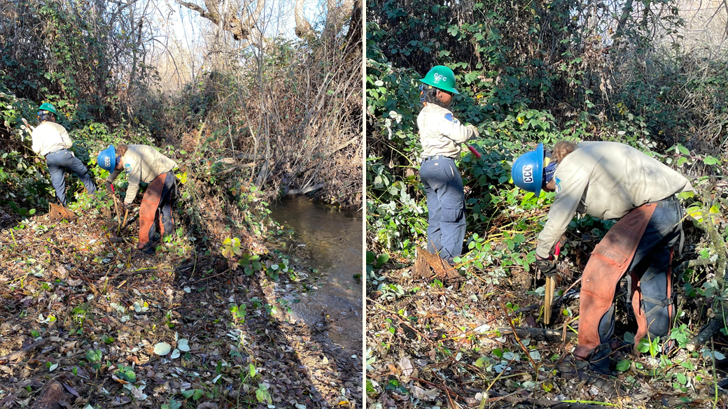 two corpsmembers use loppers to clear out vegetation