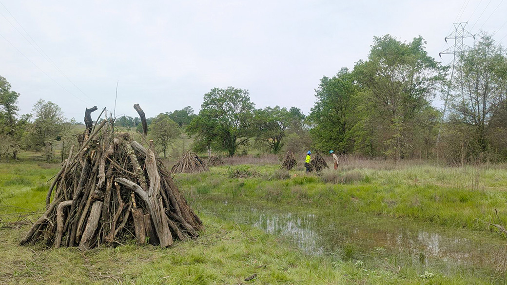 multiple burn piles assembled in a field