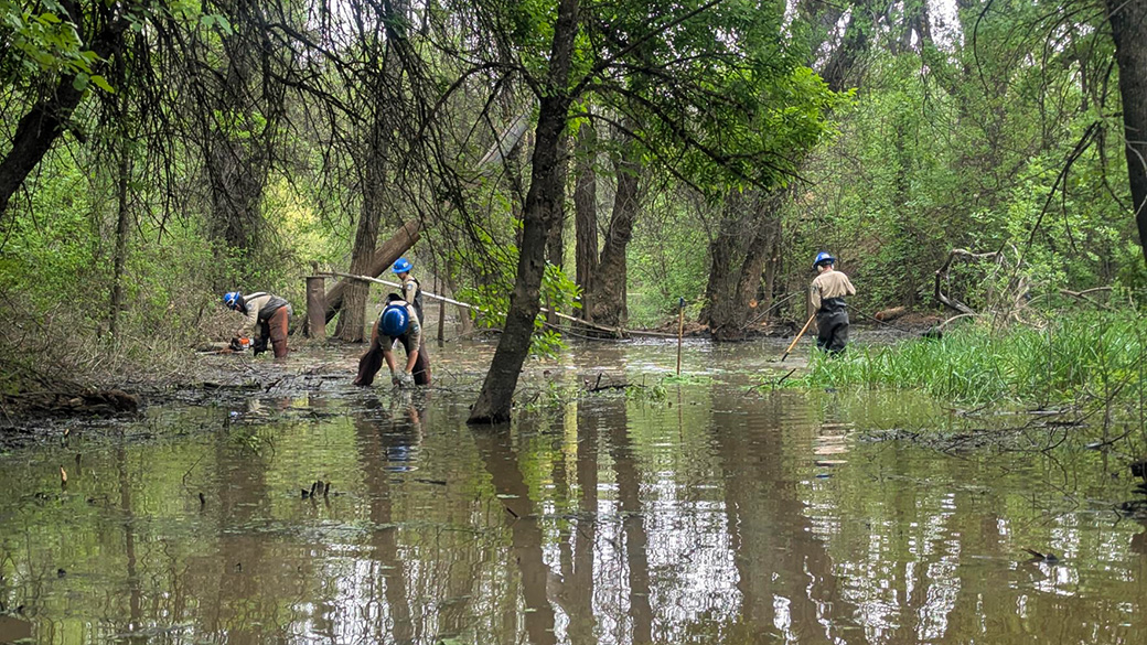 corpsmembers wearing waders while standing in shin deep water in a marsh like setting