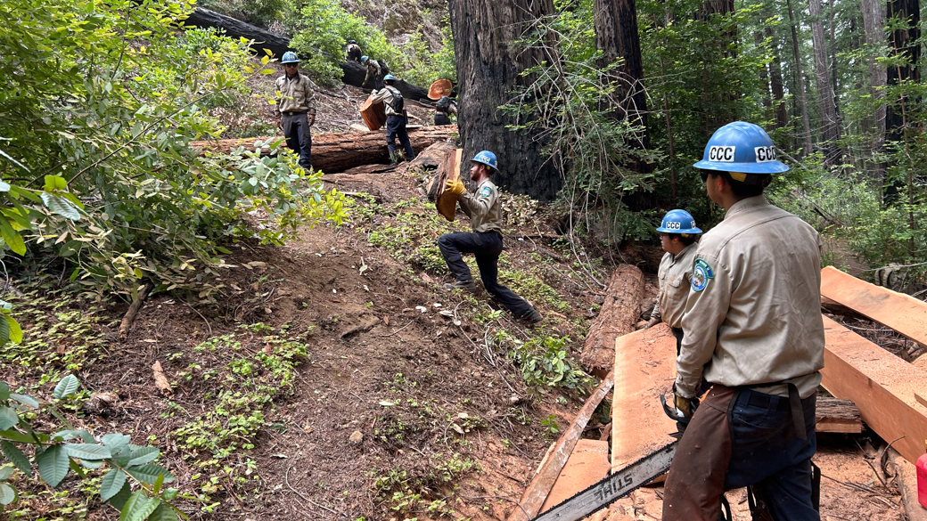 Corpsmembers passing sections of cut lumber up the trail
