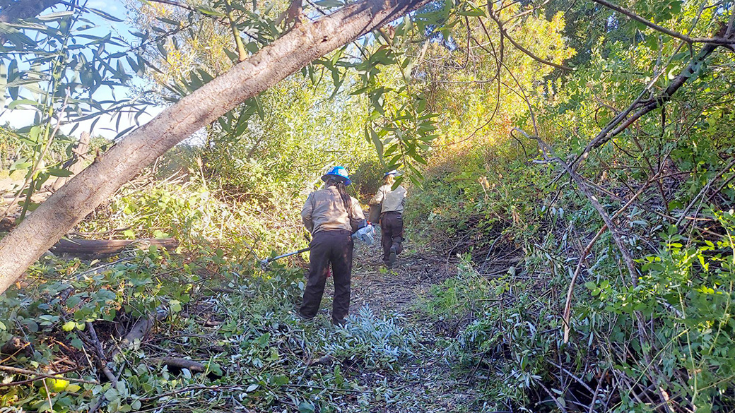 two corpsmembers with tools work along a wooded path
