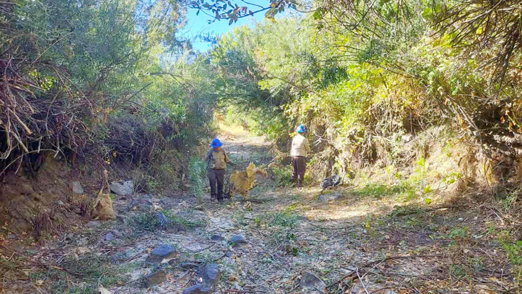 corpsmembers work in dry creek channel removing vegetation